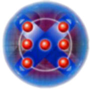 X antibody.png