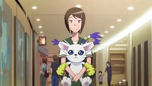 Gatomon und Kari TriConfession