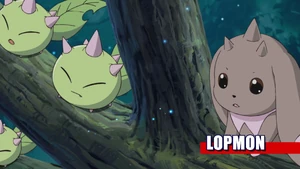 9-29 Analyzer Lopmon EN