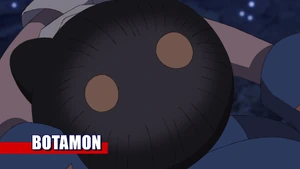 9-63 Analyzer Botamon EN