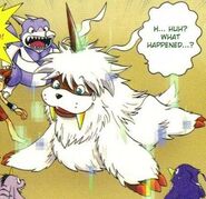 Gon als Ikkakumon