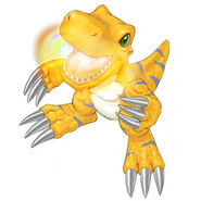 Agumon X