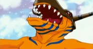 Greymon 2.png (1,08 MB) Nach dem Training kann sich Agumon endlich wieder zu Greymon entwickeln.