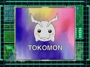 DigiAnalyserDS-Tokomon