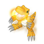 Agumon X