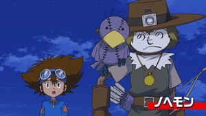 9-47 Analyzer Nohemon