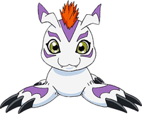 Gomamon
