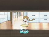 EP31 (Adventure)