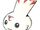 Curimon
