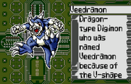 Veedramon Analyzer