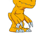 Agumon