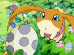 Patamon in Digimon Frontier