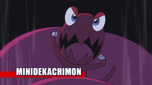 9-47 Analyzer Minidekachimon EN