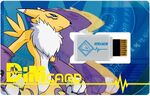 DIM Card - Renamon