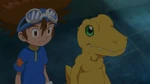 Taichi "Tai" Kamiya and Agumon