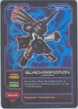 BlackRapidmon DM-162 (DC)