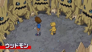 9-29 Analyzer Woodmon