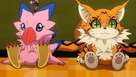 Biyomon und Meicoomon