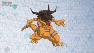 Greymon tri