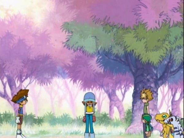 Digimon Adventure: Last Evolution Shares Sora's Upsetting Secret