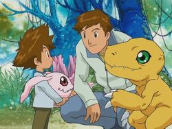 digimon adventure tai