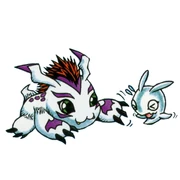 Gomamon3