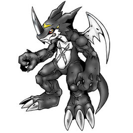 Xvmon black