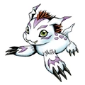 Gomamon