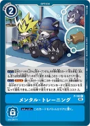 P-104 Mental Training