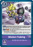 Wisdom Training