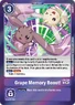 LM-038 (101 KB) Grape Memory Boost!
