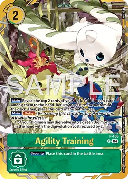 PREMIUM CARD COLLECTION Digimon Training Set | DigimonCardGame