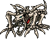 Skullgreymon battle da02d1t.png (2 kB)