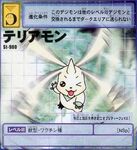 St-980.jpg (64 kB) karta 1