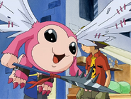 Digimon Frontier