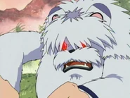 Digimon Adventure 02