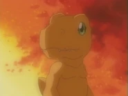 Agu02.png (144 KB) Digimon Adventure 02
