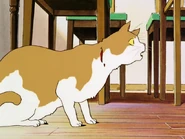 Digimon Adventure (film)