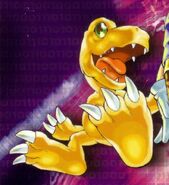 Agumanhua.jpg (148 KB) Digimon Adventure (manga)