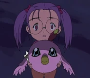 I Digimental Aurei (dimensione di Kokomon)