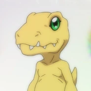 Agubnm.png (99 KB) Il nostro Futuro