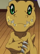 Aguketsui.png (886 KB) Determinazione