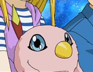 Porodf.png (110 KB) Digimon Frontier