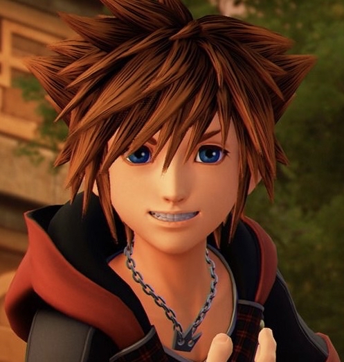 Sora | DigiTouSailorCure Wiki | Fandom