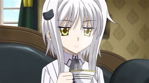 Koneko Toujou | DigiTouSailorCure Wiki | Fandom