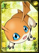 Patamon re collectors card