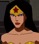 Wonder Woman Young Justice