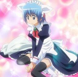 Hayate during when he was cursed in wearing maid outfits