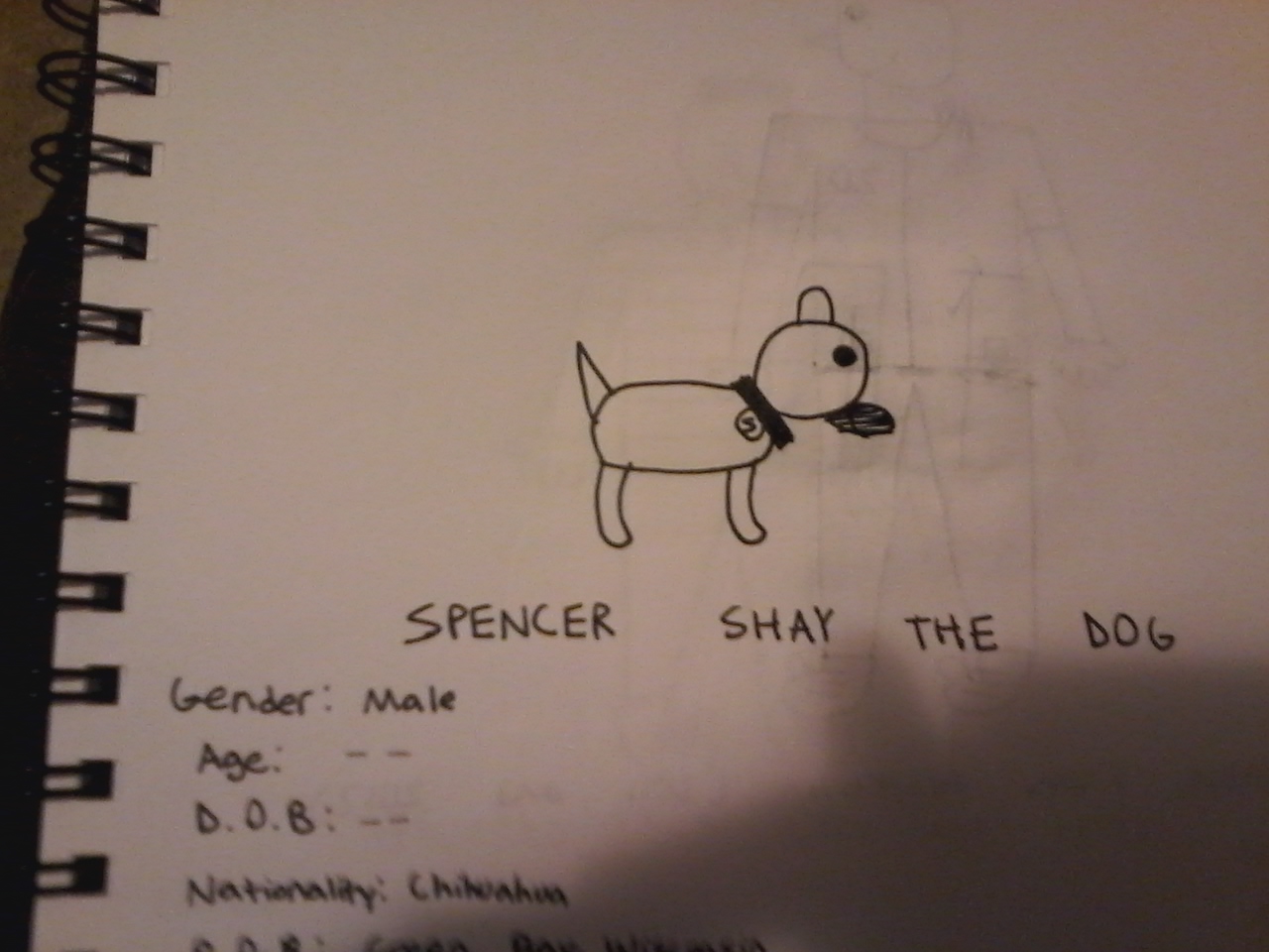 Spencer Shay (dog), Randompedia