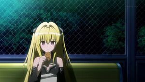 Yami eating at night at the Park